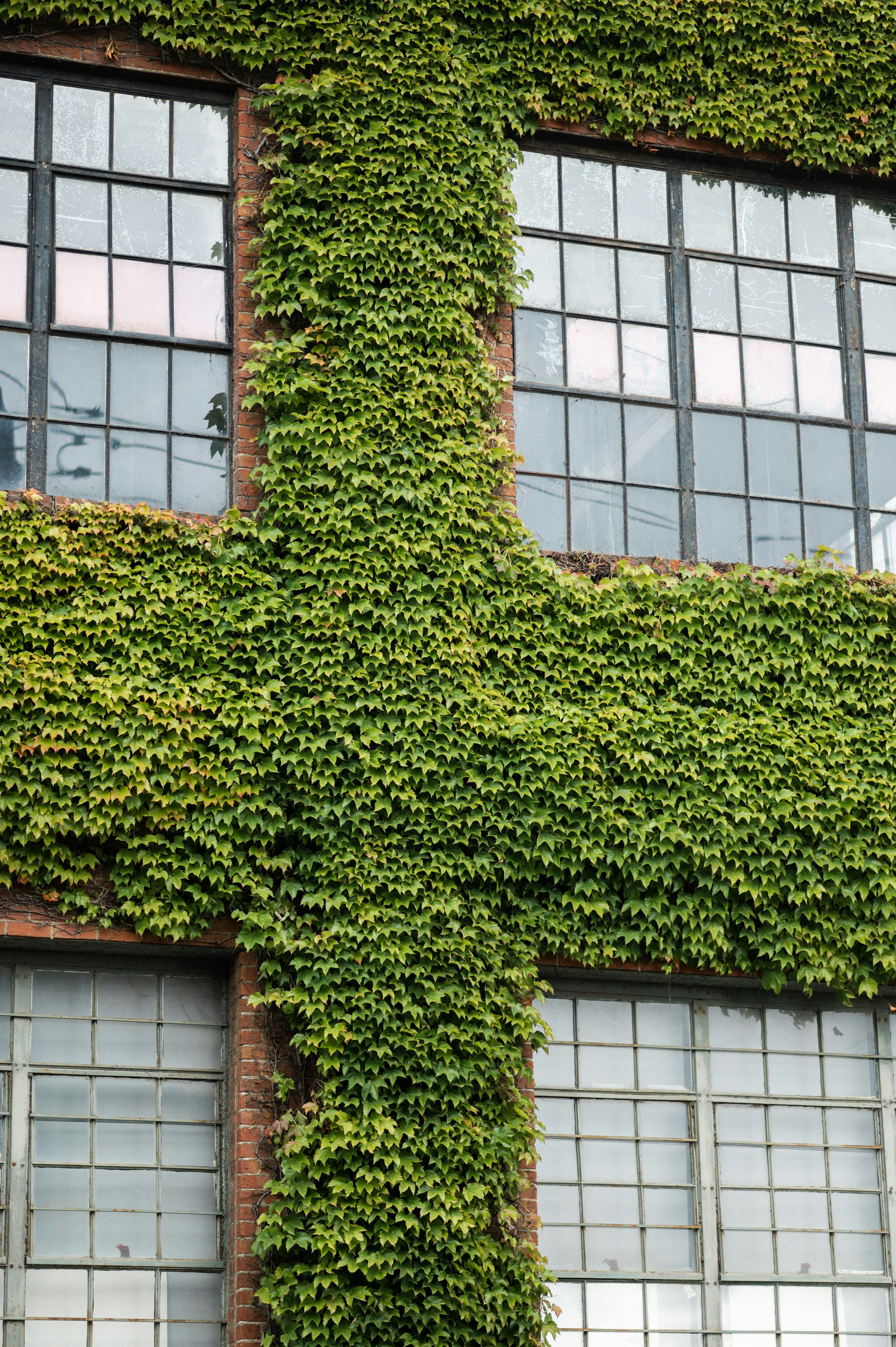 Photo by patrickperkins