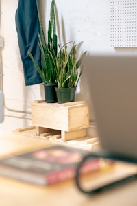 A cozy indoor space featuring two potted snake plants resting on a wooden stand against a white wall. There is a dark blue apron hanging nearby and part of a pegboard visible on the wall. In the foreground, a blurred laptop and a closed book on a wooden table create a workspace atmosphere.