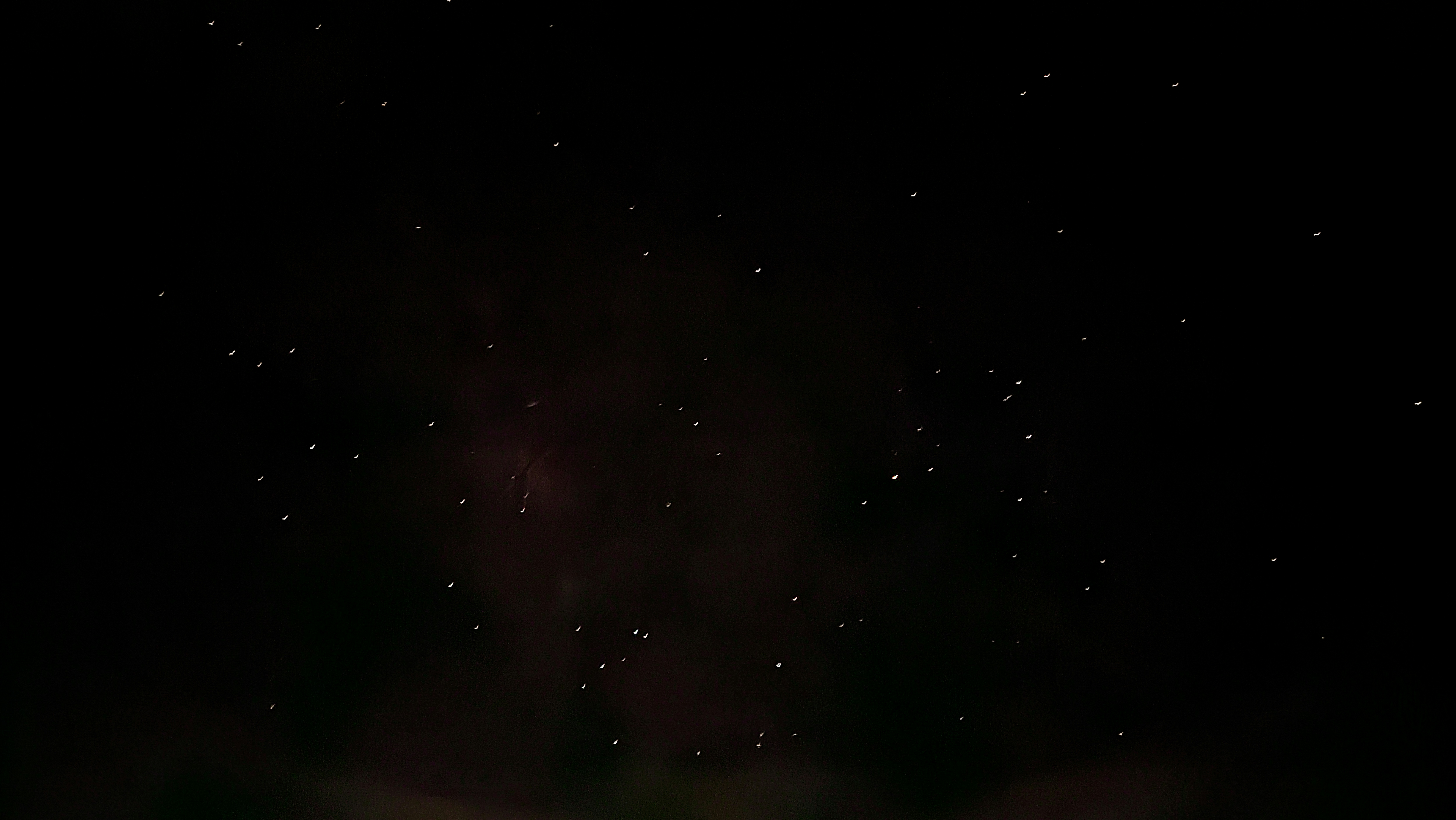 Photo by iamfardinsk