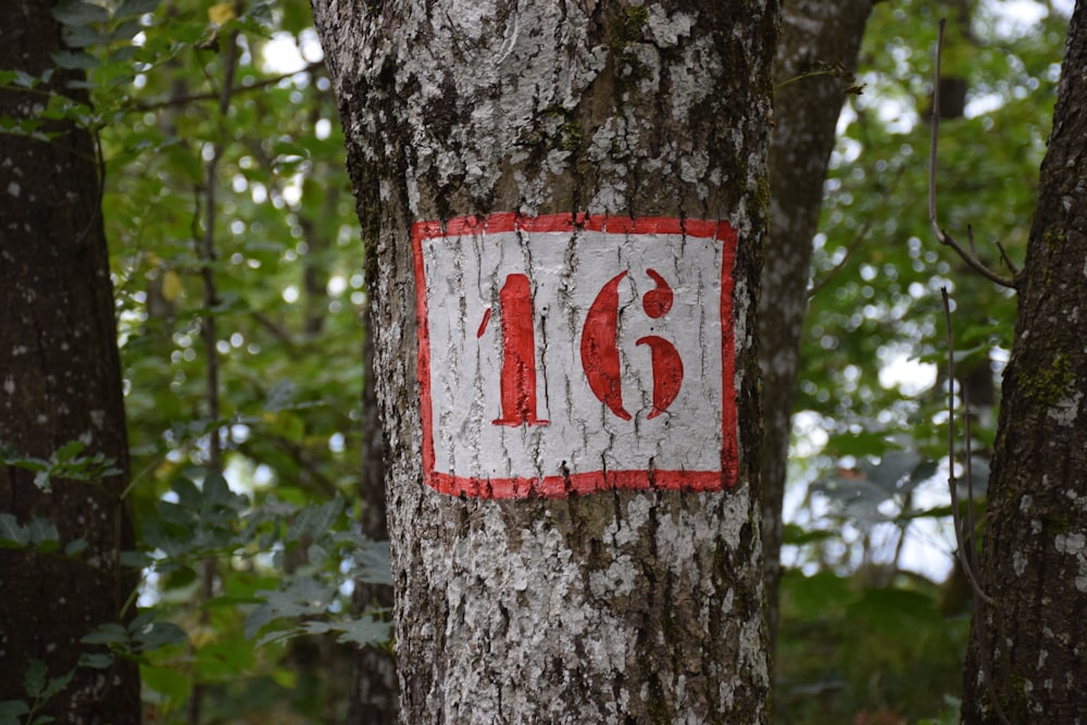 Un primer plano de un árbol con un letrero en él