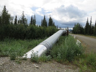 A large metal pipeline extends through a forested area, surrounded by dense greenery and trees. The sky is overcast, suggesting the possibility of rain. The pipeline runs parallel to a gravel road, indicating an infrastructure passing through a natural environment.
