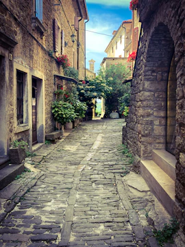 A rustic village street lined with stone houses and blooming flowers.