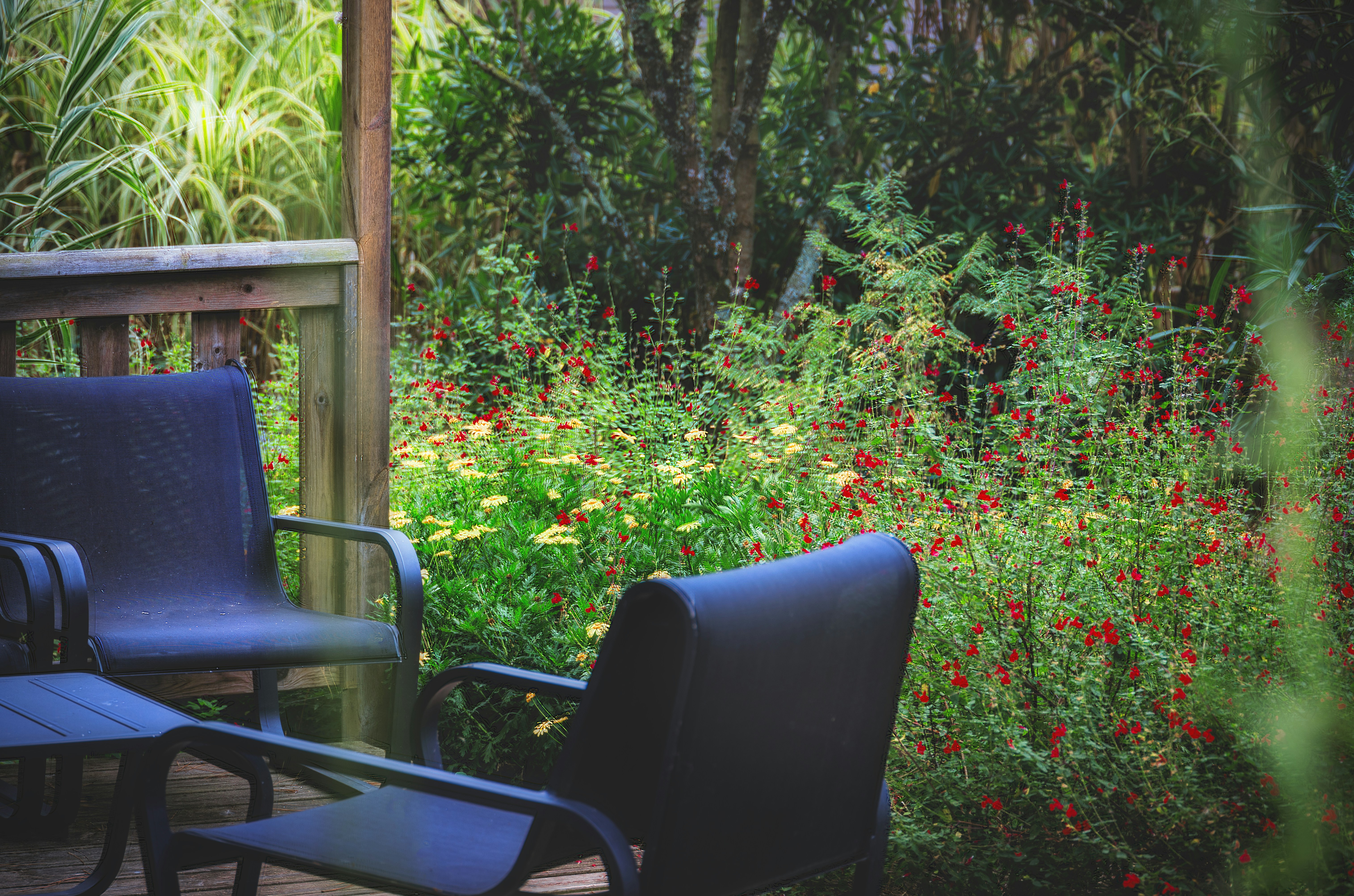 5 Affordable Ways to Upgrade Your Outdoor Space for Summer – a couple of chairs sitting on top of a wooden deck