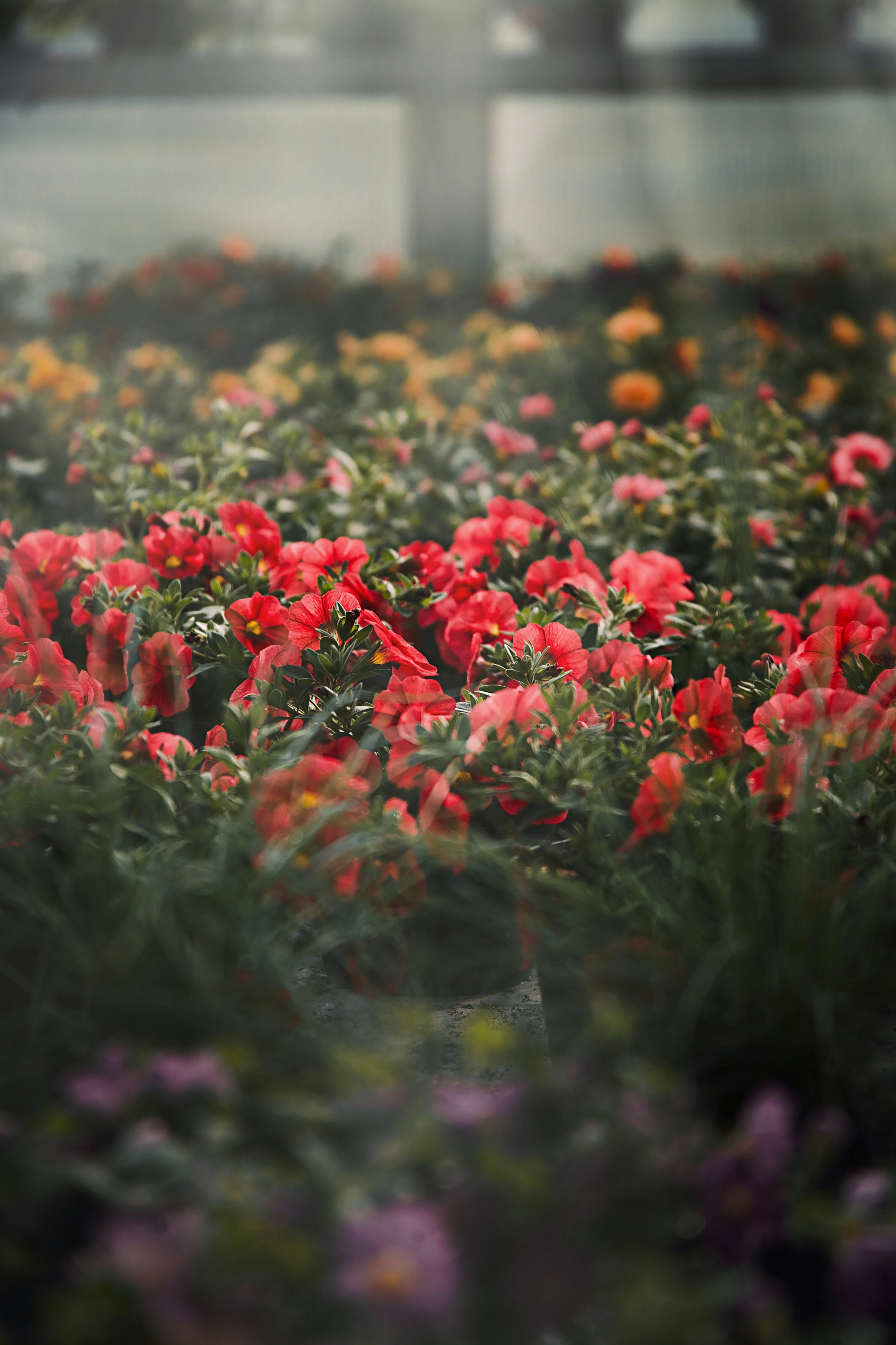 ein Blumenstrauß, der im Gras liegt