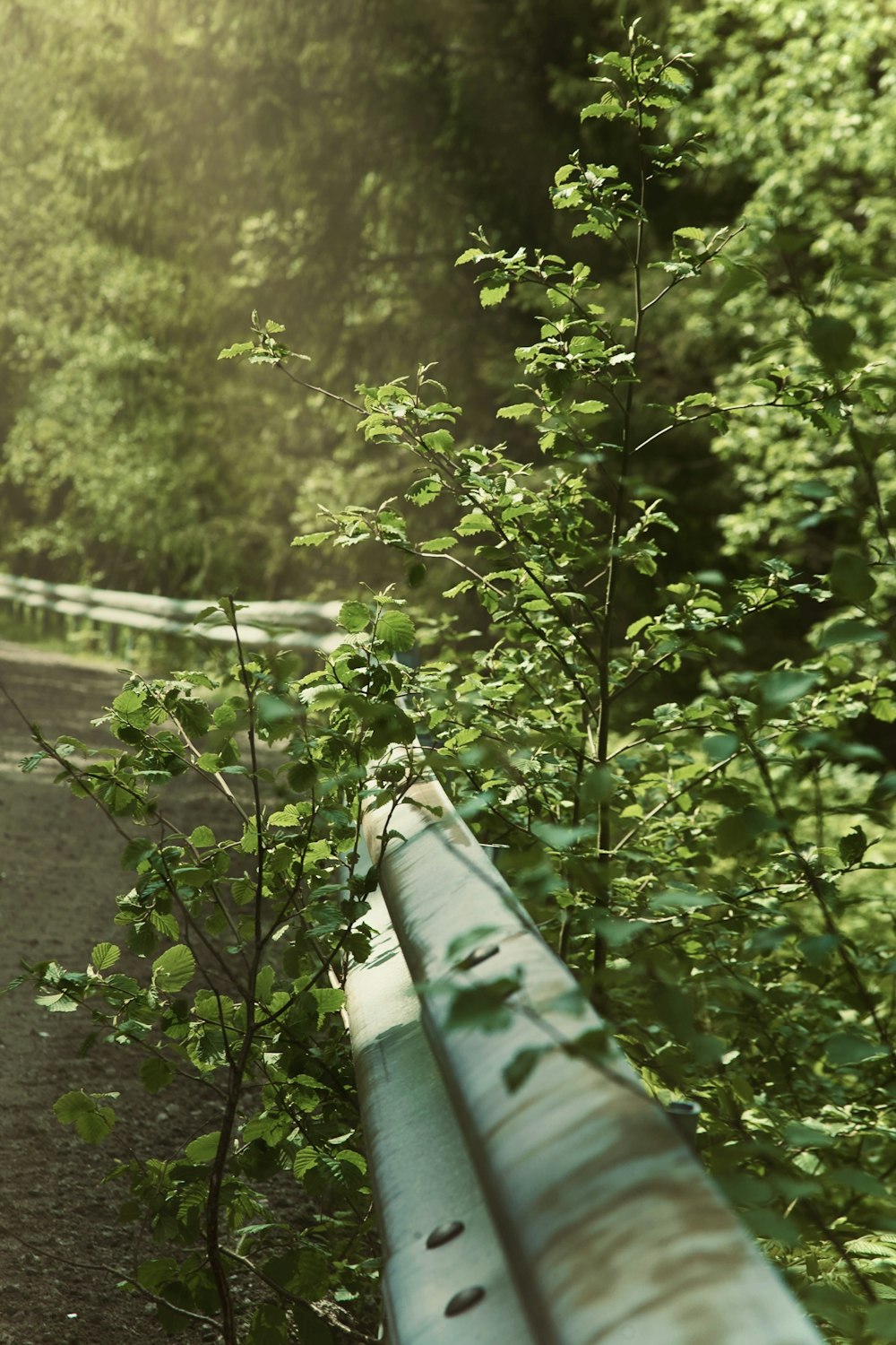 a metal pipe sitting in the middle of a forest