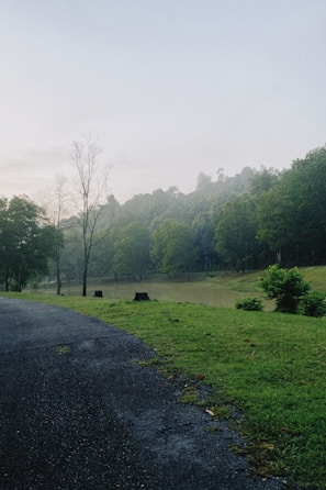 A peaceful landscape with a walking path through nature.