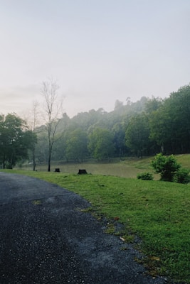 A peaceful landscape with a paved path curving through lush green grass. The scene includes a few bare tree trunks and a background of dense, misty forest. The sky appears overcast, contributing to a serene and slightly melancholic atmosphere.