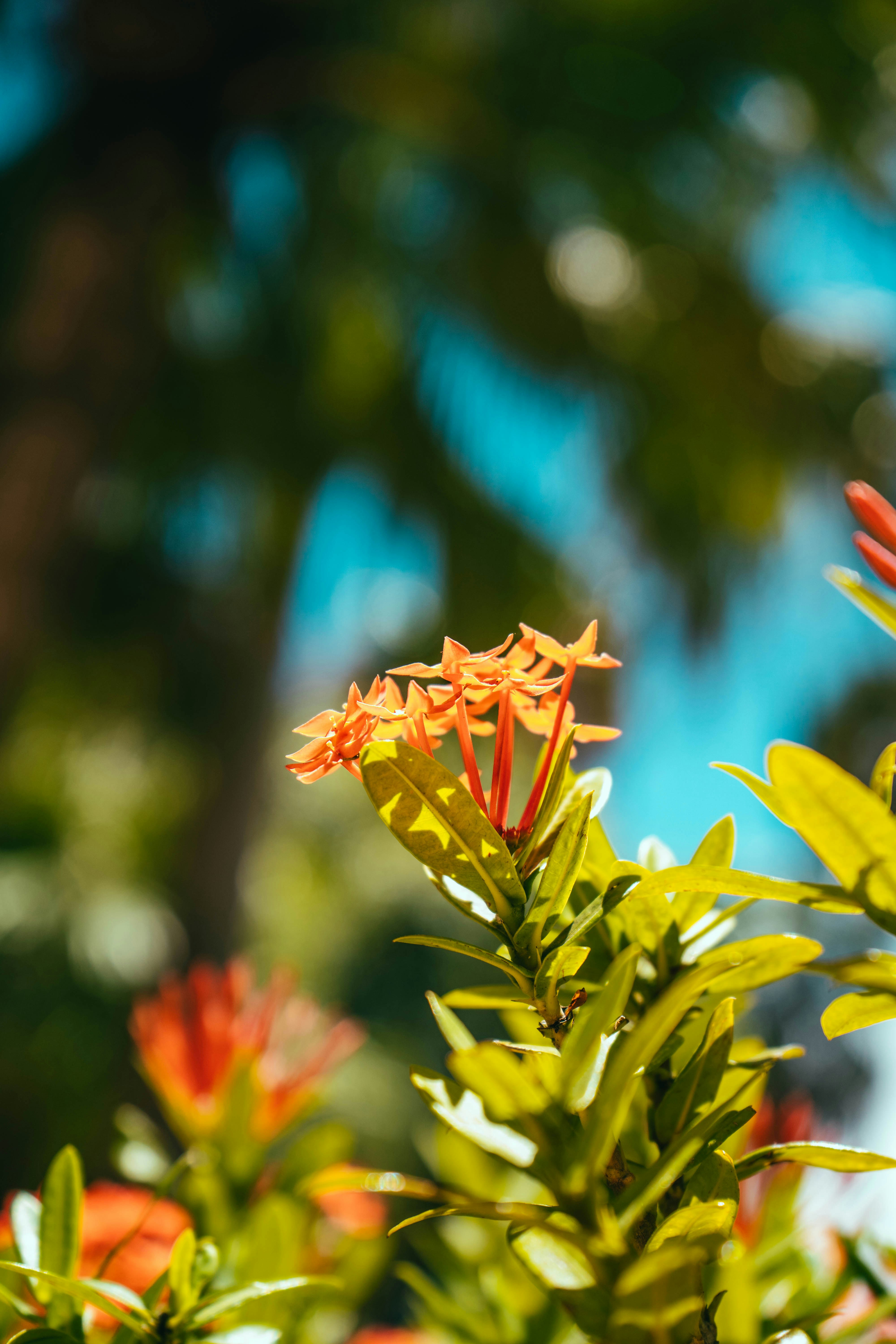 Photo by collinmarkross