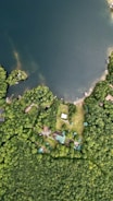 an aerial view of a lake surrounded by trees
