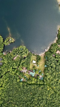 an aerial view of a lake surrounded by trees