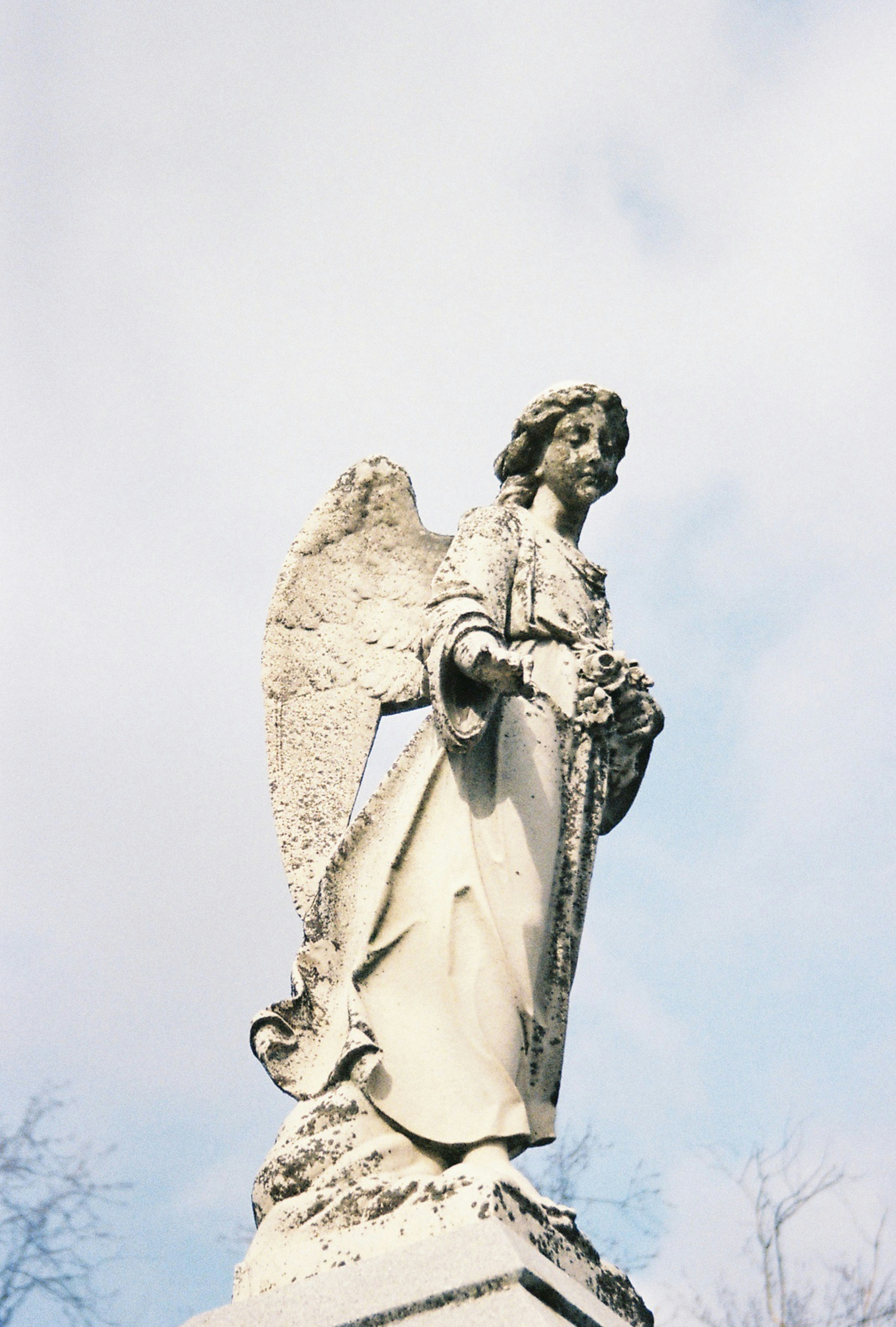 Photo by marumstudios