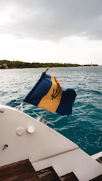 A blue and yellow flag with a trident symbol flutters from the rear of a boat, set against a backdrop of blue ocean water and a distant shoreline covered with trees under an overcast sky.