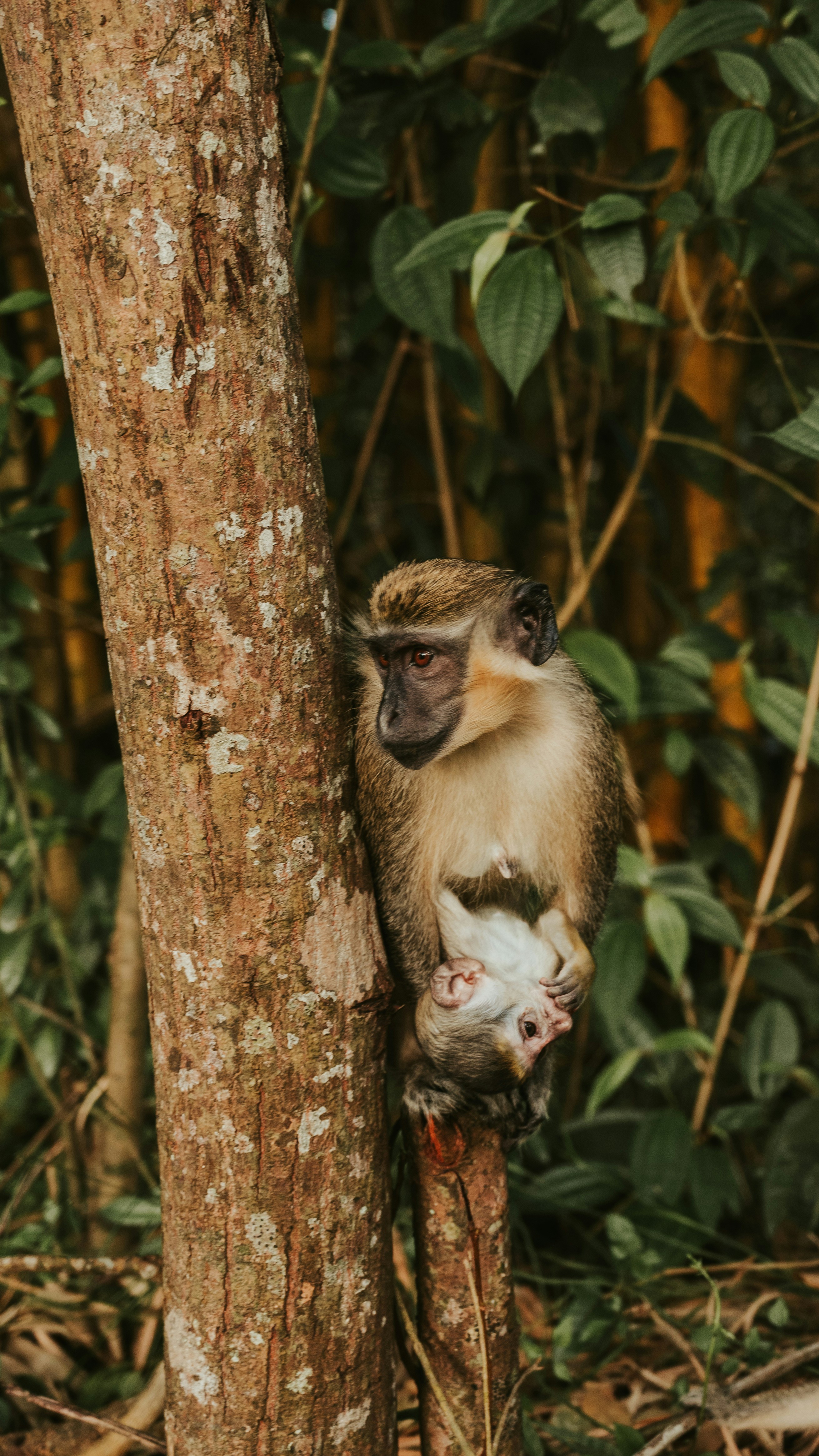 Photo by mariahhewines