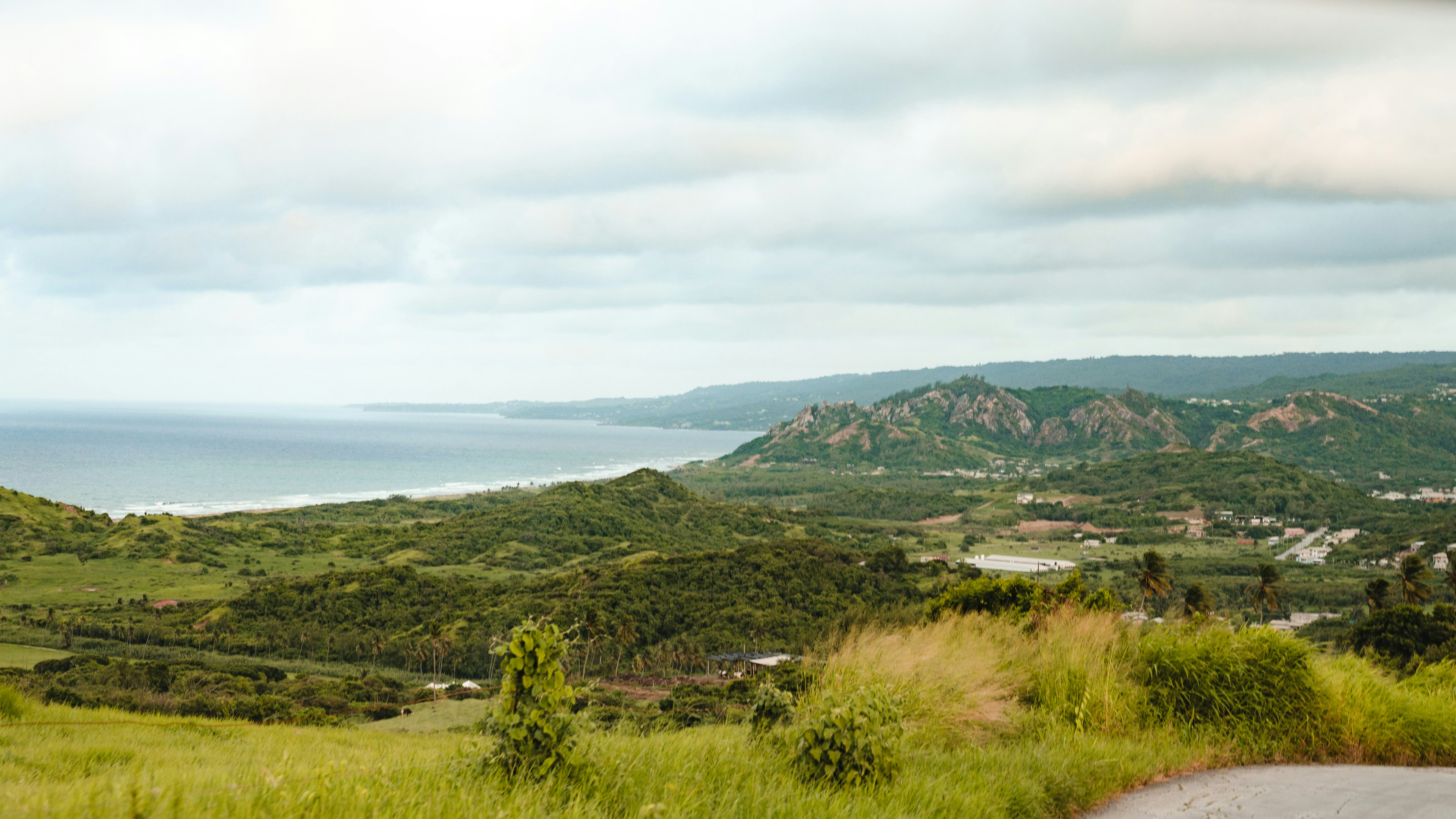 Photo by mariahhewines