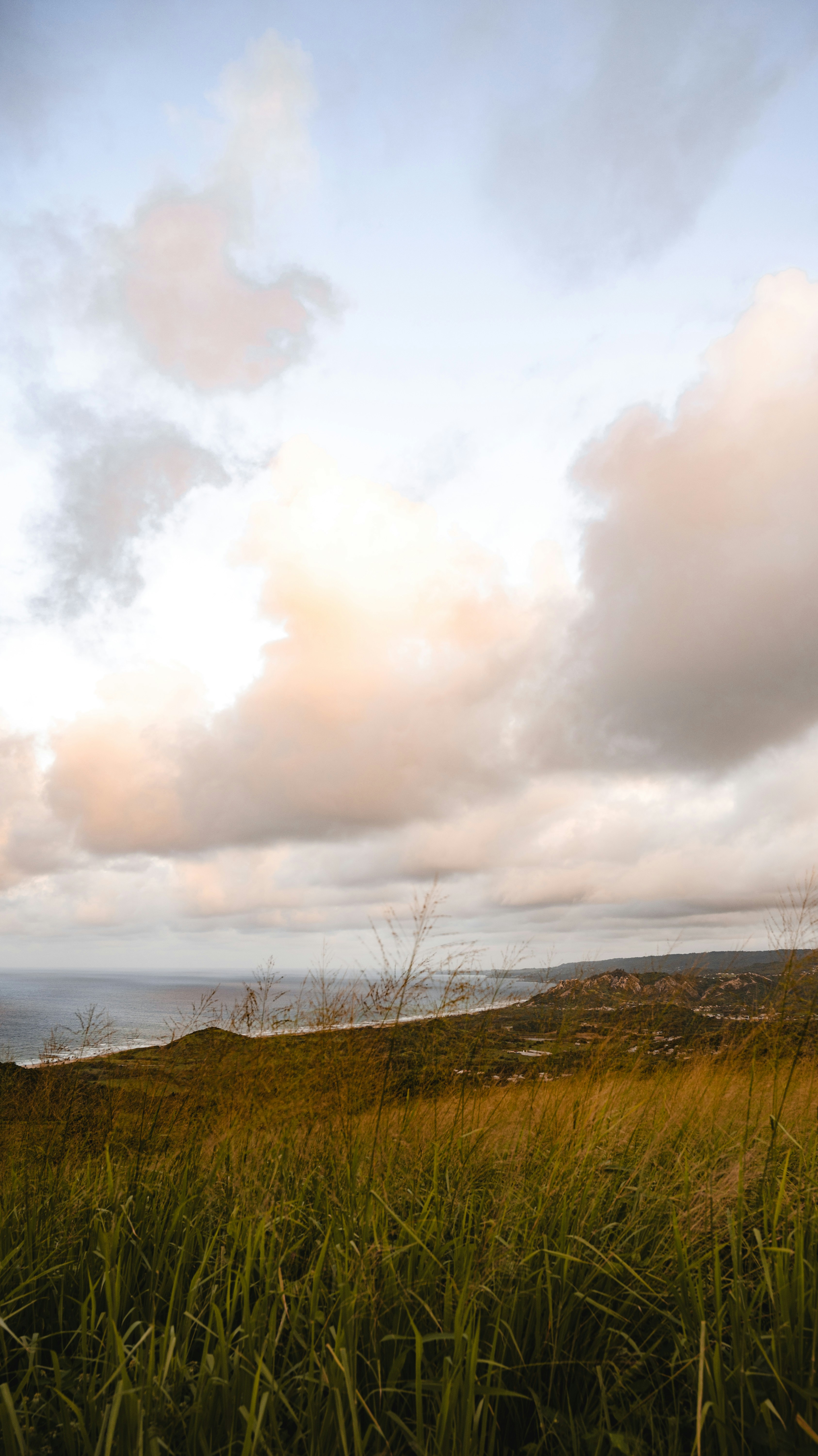 Photo by mariahhewines