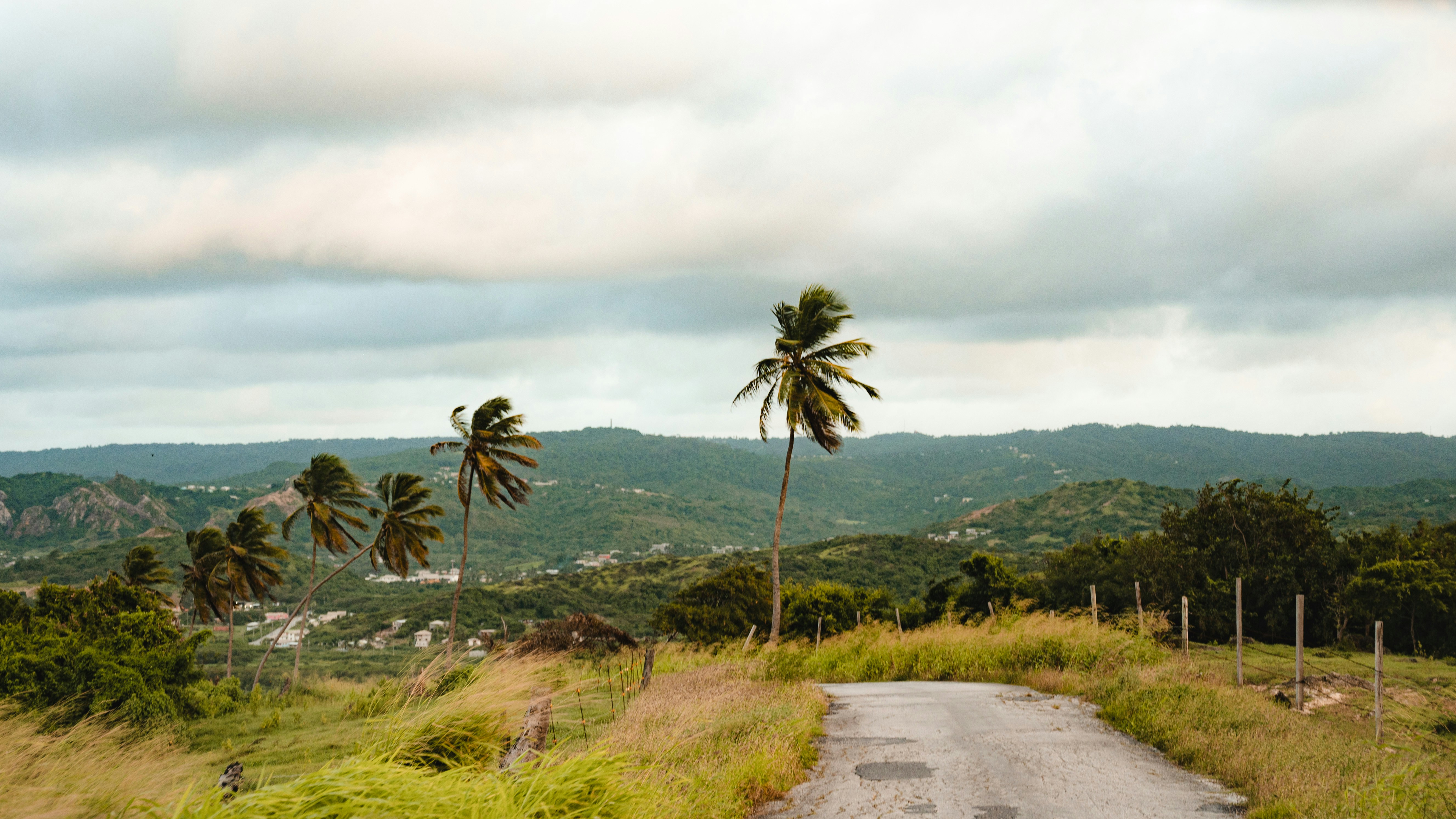 Photo by mariahhewines