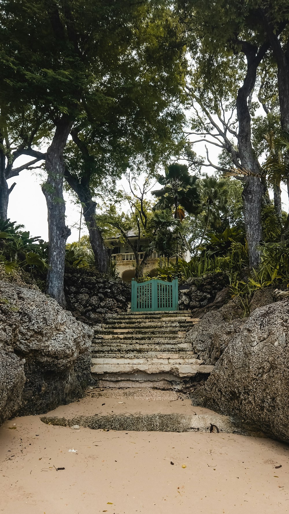 a set of steps leading up to a green gate