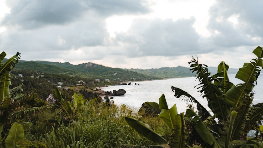 a view of a body of water surrounded by trees