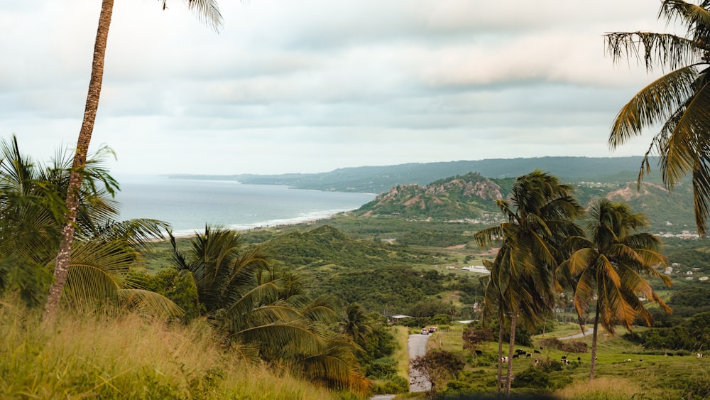 a scenic view of a tropical island with palm trees