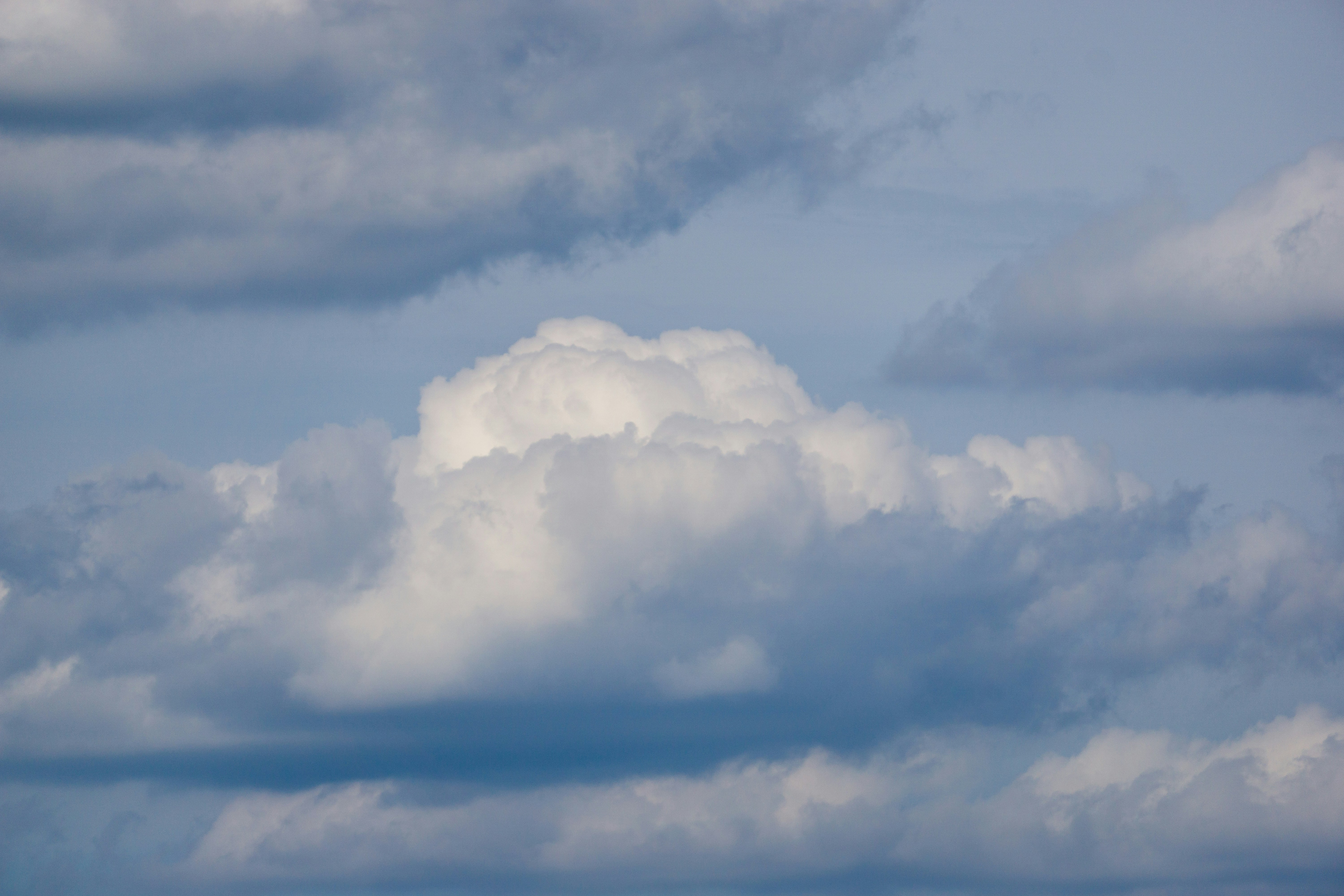 Photo by robertschwarz