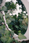 a mirror sitting on the side of a wall next to a plant