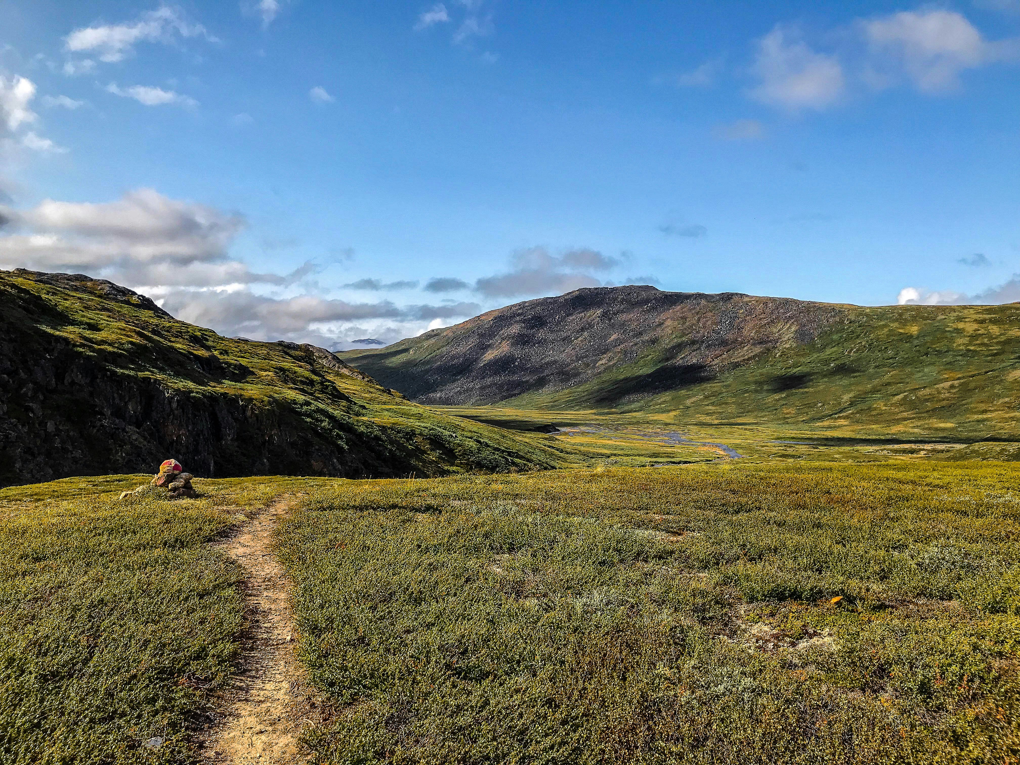 Photo by tyrannosara