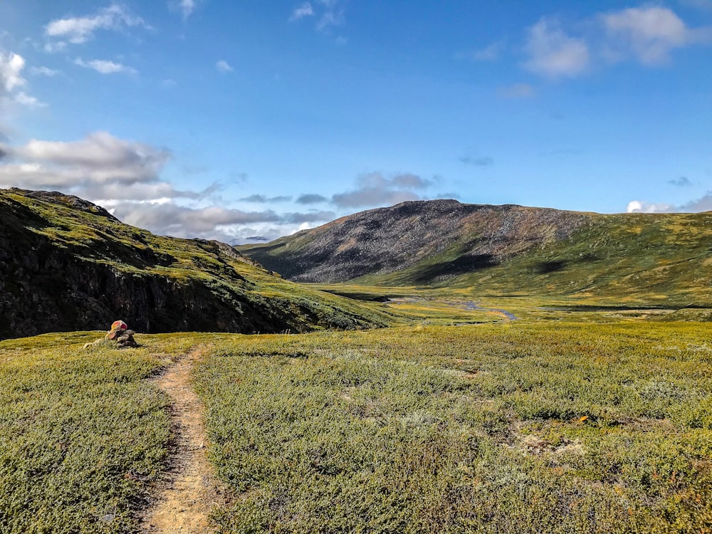 a dirt path in the middle of a grassy field