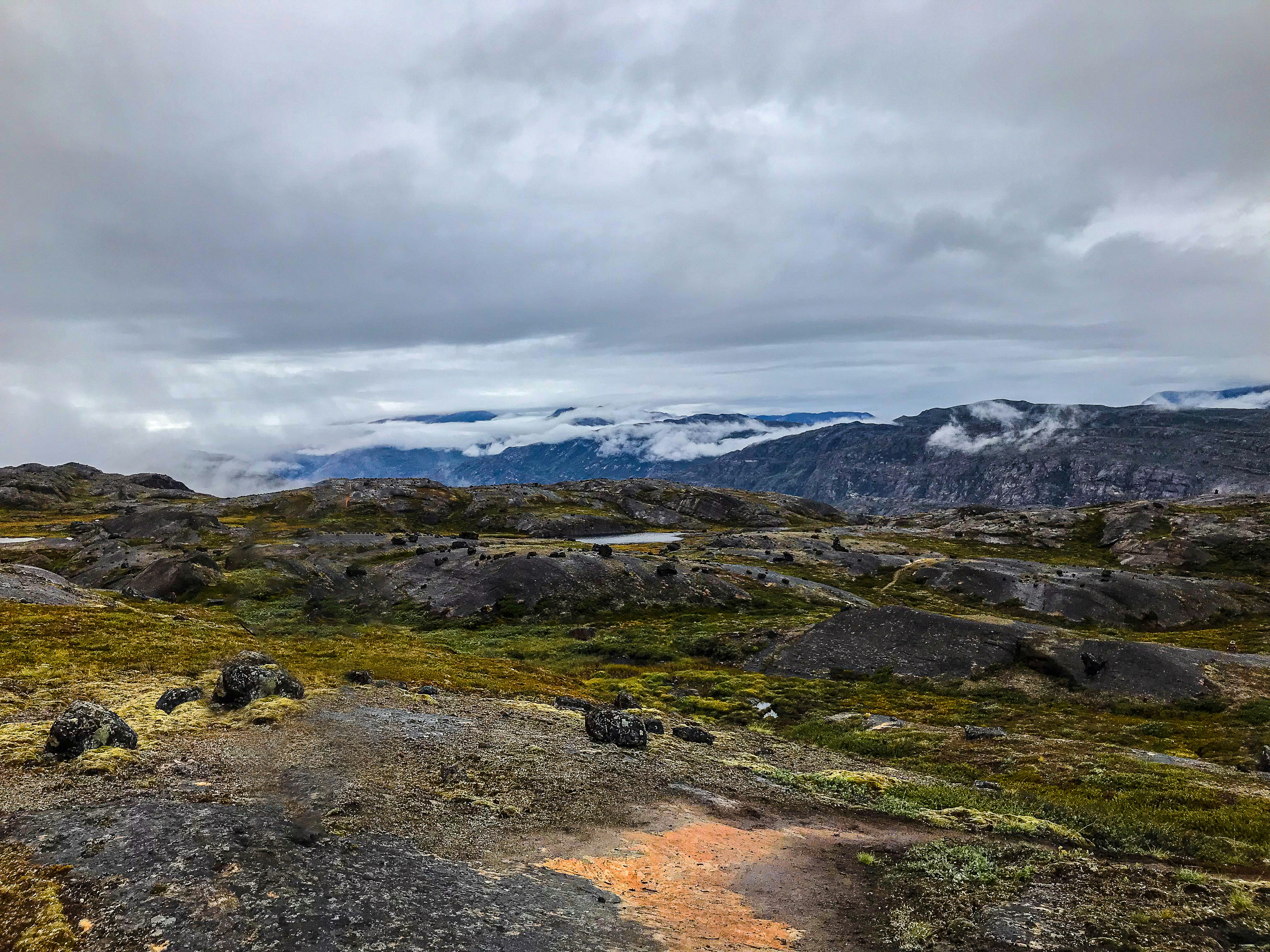 Photo by tyrannosara