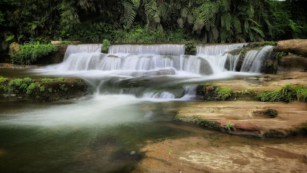 a small waterfall in the middle of a forest