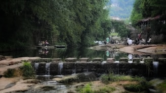 Peaceful riverside scene where community members gather amidst dense greenery and calm waters.