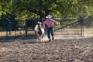 A young person in a cowboy hat and boots is leading a small, white and brown horse on a rope in a dusty paddock. The background features a tall metal fence and lush green trees, with sunlight filtering through the branches.