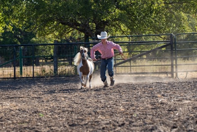 A young person in a cowboy hat and boots is leading a small, white and brown horse on a rope in a dusty paddock. The background features a tall metal fence and lush green trees, with sunlight filtering through the branches.
