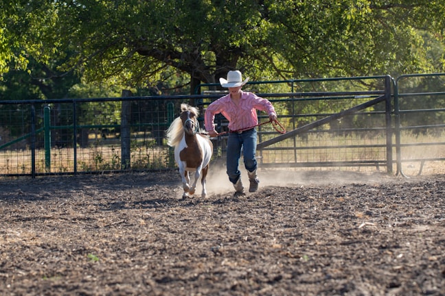 An at-risk youth learning to lead a horse through an open field.