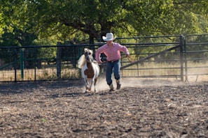 A young person in a cowboy hat and boots is leading a small, white and brown horse on a rope in a dusty paddock. The background features a tall metal fence and lush green trees, with sunlight filtering through the branches.