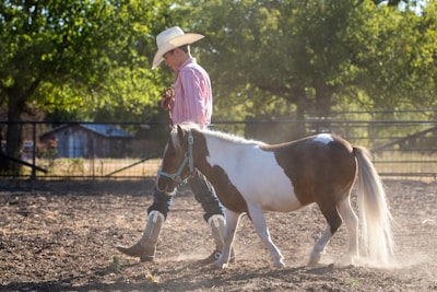 A person wearing a cowboy hat and striped shirt is leading a small horse with a brown and white coat in a sunlit outdoor area. The background includes a metal fence and trees, with a barn visible in the distance.