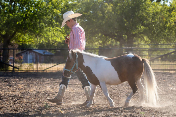 A caretaker gently leading a horse from the stable to a sunny pasture.
