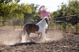 A person in a cowboy hat and striped shirt is seen in a dusty enclosure, leading a small pony by a rope. The pony has a brown and white coat and is kicking up dust as it walks. They are surrounded by a fence and trees in the background.