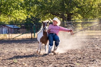 In a dusty outdoor setting, a young person wearing a cowboy hat, a striped shirt, blue jeans, and boots is seen leading a small horse by the reins. The person is leaning back, creating a sense of motion and action.