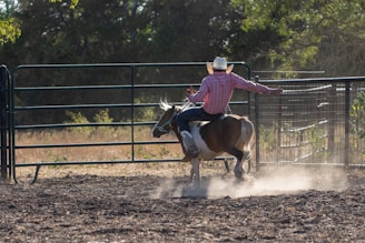 A person wearing a cowboy hat and a striped shirt is riding a horse inside a fenced area. The scene is outdoors, with sunlight filtering through the trees, and dust is being kicked up by the movement of the horse.