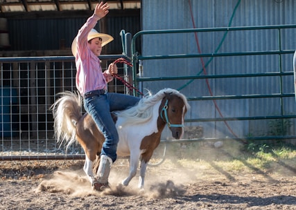 A person wearing a cowboy hat and striped shirt is riding a small pony inside a fenced area. Dust is stirred around the pony's hooves as it moves energetically. The person appears to be holding onto a rope, with one hand raised in the air, suggesting an action scene.