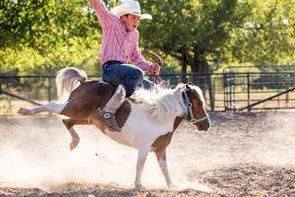A young boy wearing a cowboy hat and a striped shirt is energetically riding a small pony. The pony is mid-jump in a dusty outdoor arena with green trees in the background. The boy's expression shows enthusiasm and concentration, and he holds onto the reins tightly.