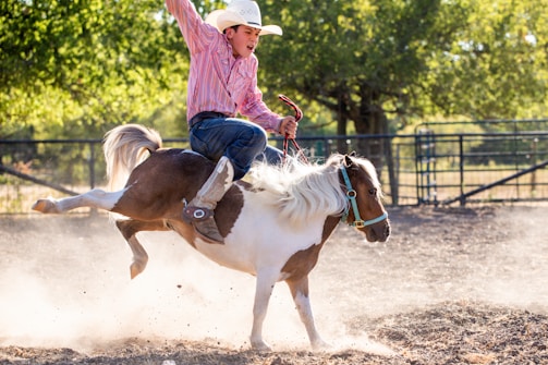 A young boy wearing a cowboy hat and a striped shirt is energetically riding a small pony. The pony is mid-jump in a dusty outdoor arena with green trees in the background. The boy's expression shows enthusiasm and concentration, and he holds onto the reins tightly.