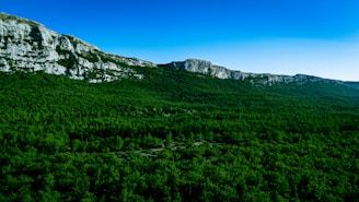 Beautiful view of the untouched nature in South France.