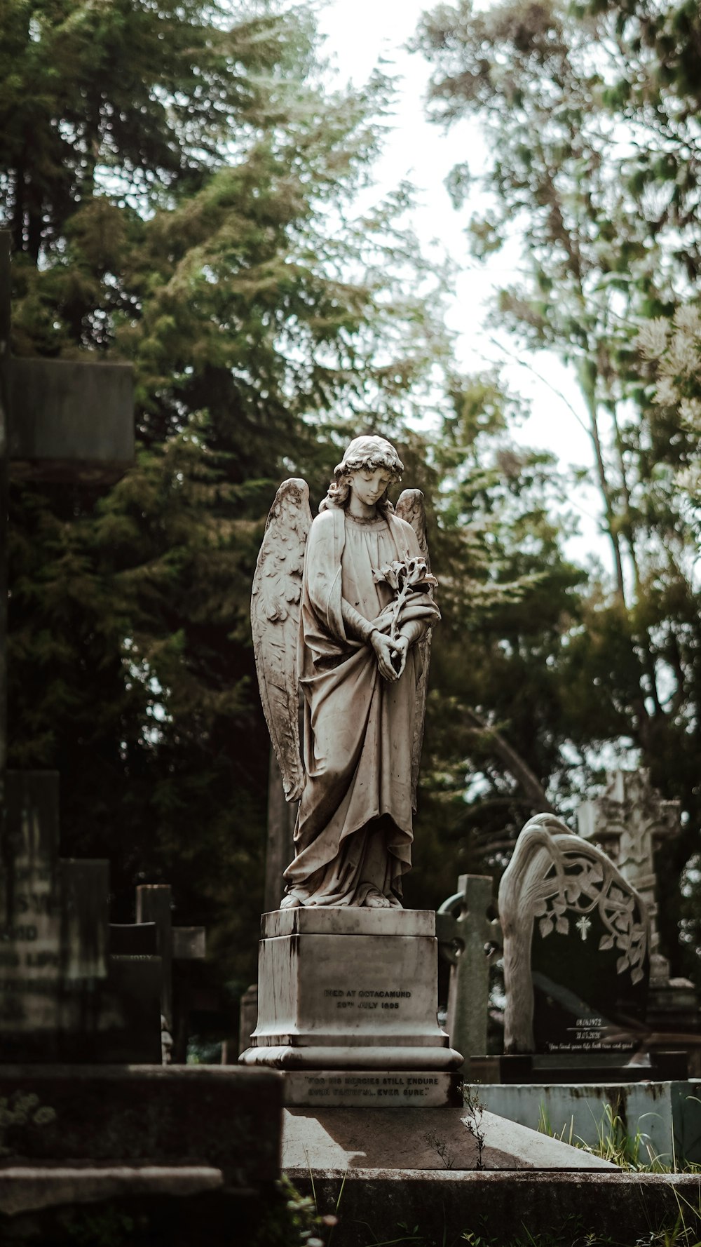 a statue of an angel is in a cemetery