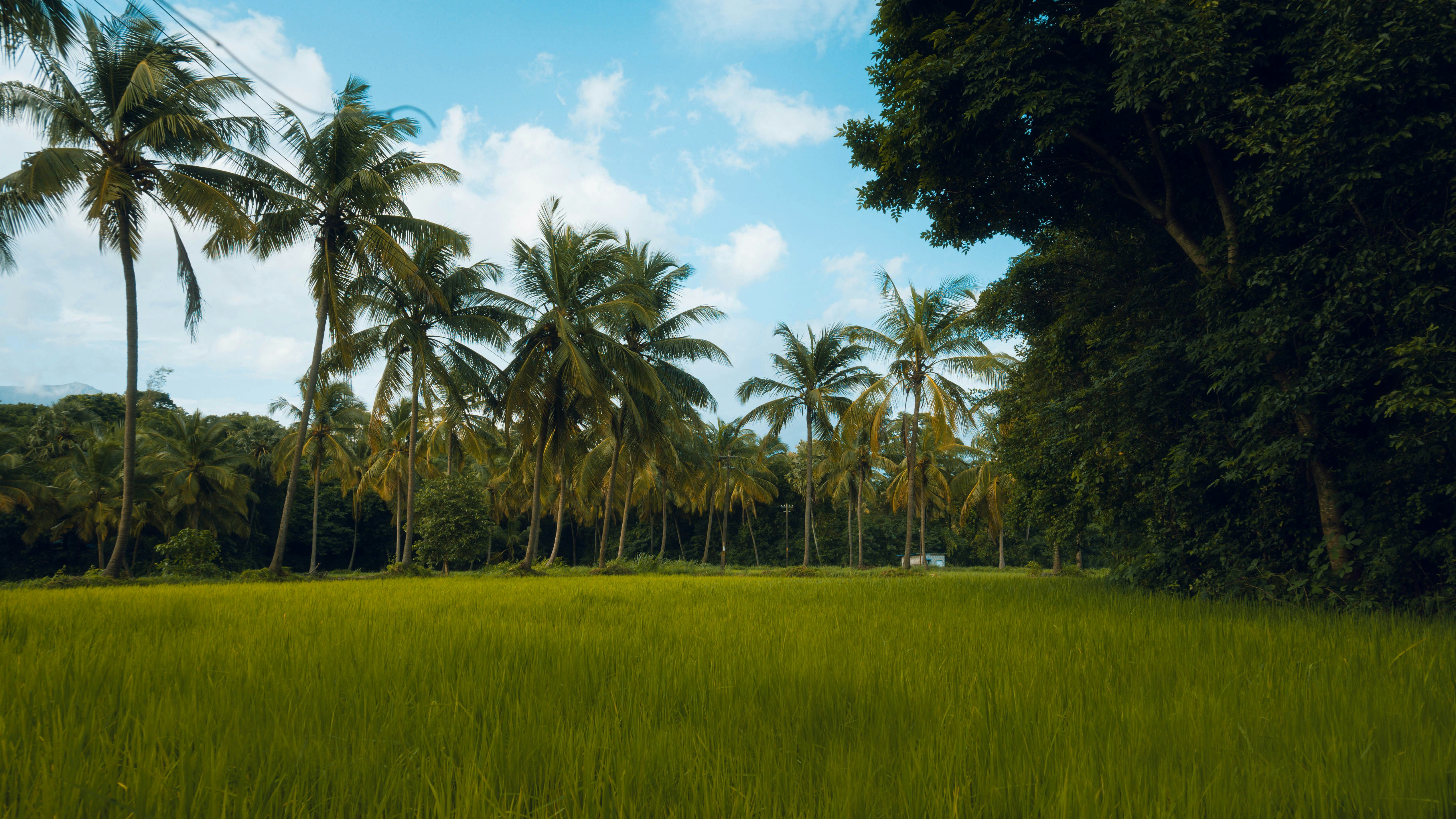 Photo by haythamkenway