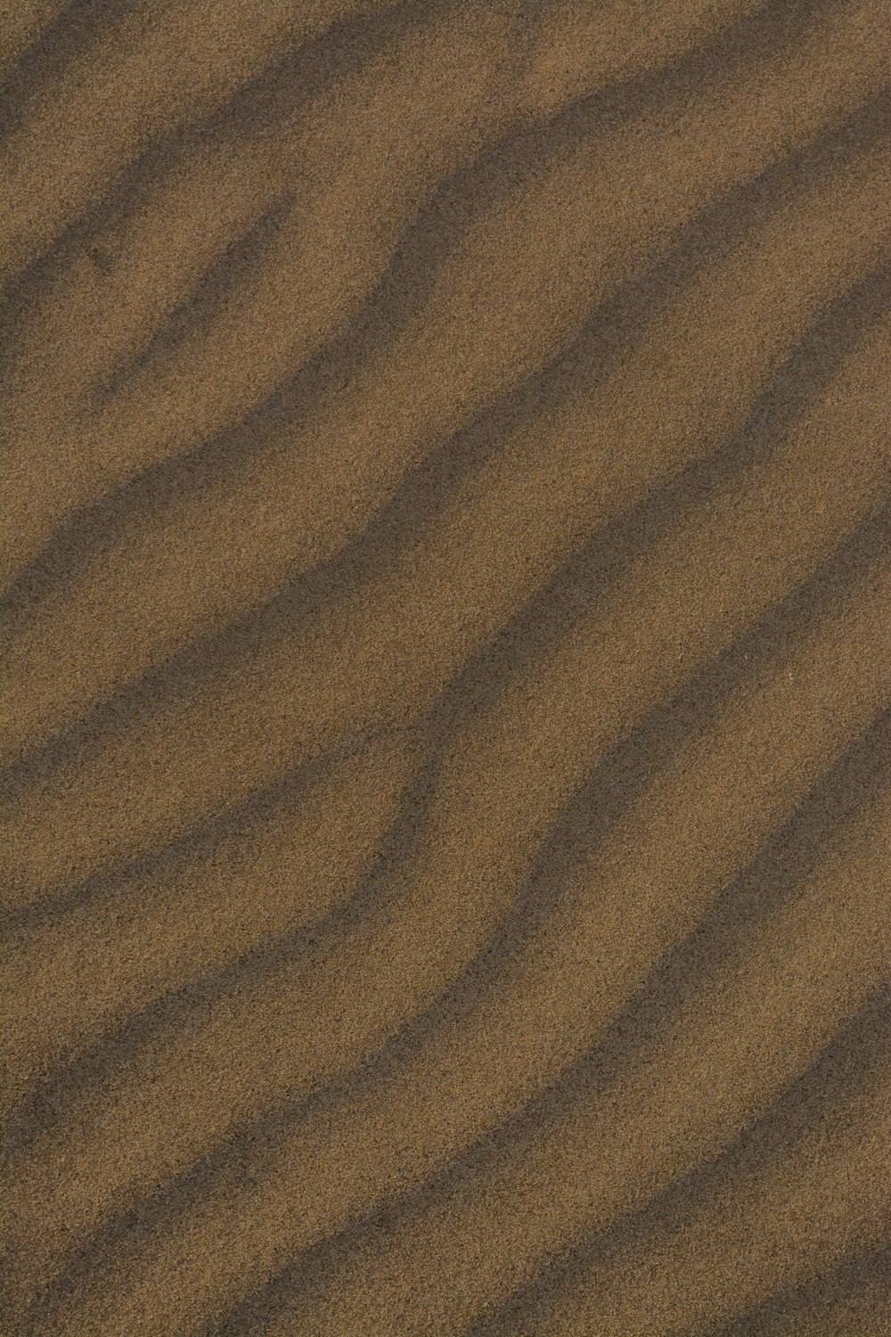 a sandy beach with a small wave in the sand