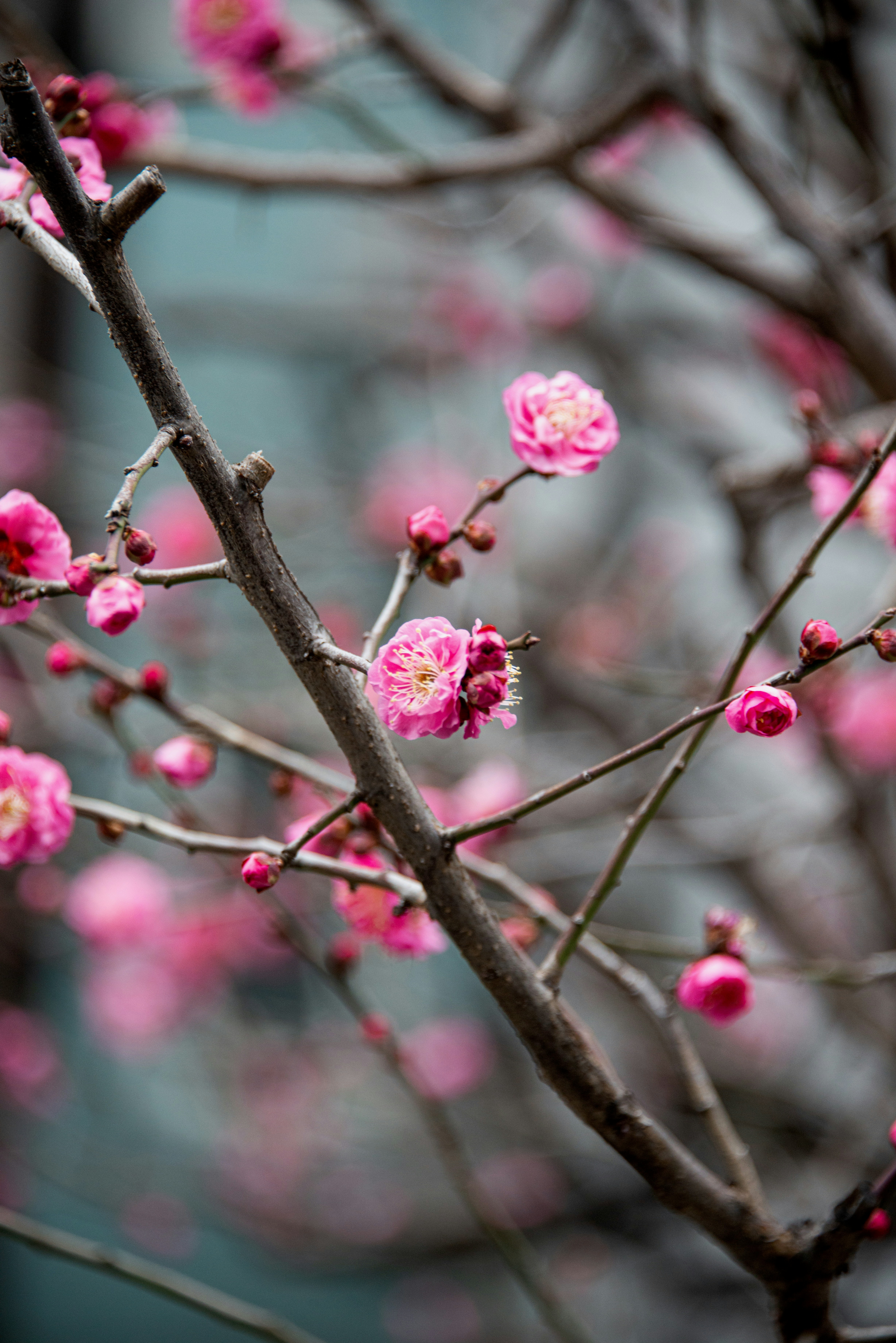 Photo by smithclukas