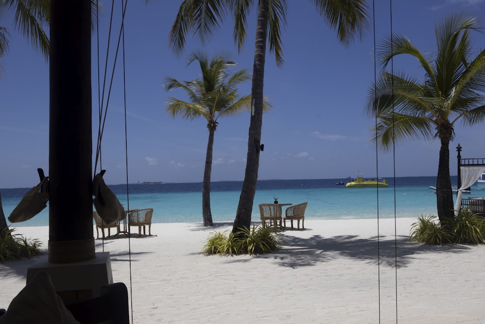 a white sandy beach with palm trees and chairs