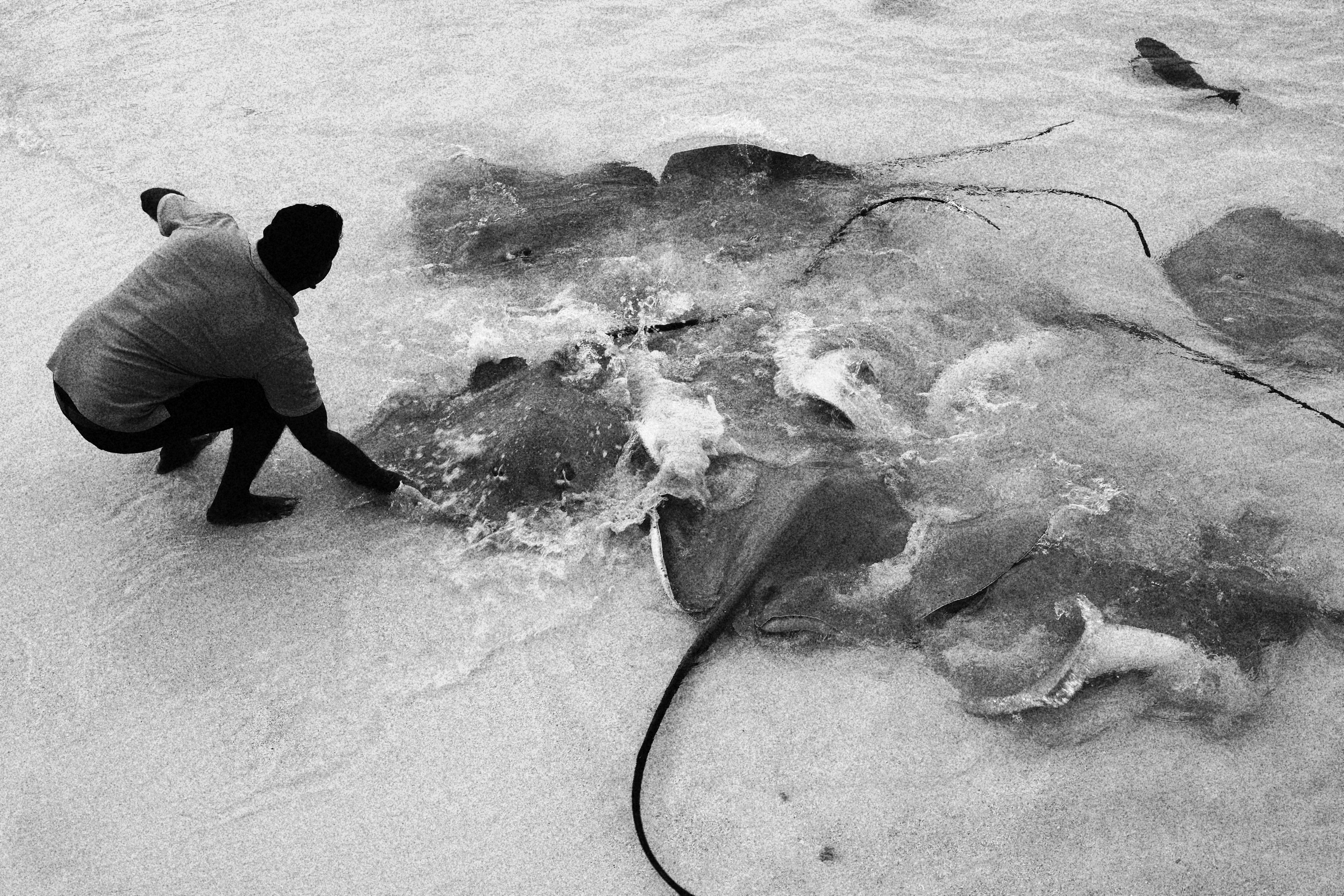 seorang pria berlutut di samping sekelompok ikan mati