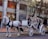 A white horse is harnessed to an ornate, fairytale-style carriage on a city street. The carriage driver sits at the front, while two passengers occupy the back. The setting appears to be urban, with buildings, sidewalk, and trees lining the background.